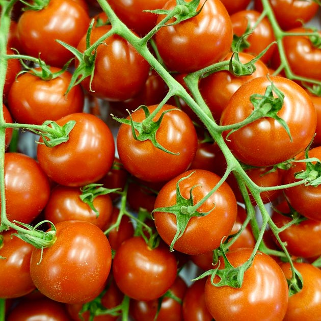 Gemüseladen Tägermoos Aktuelles